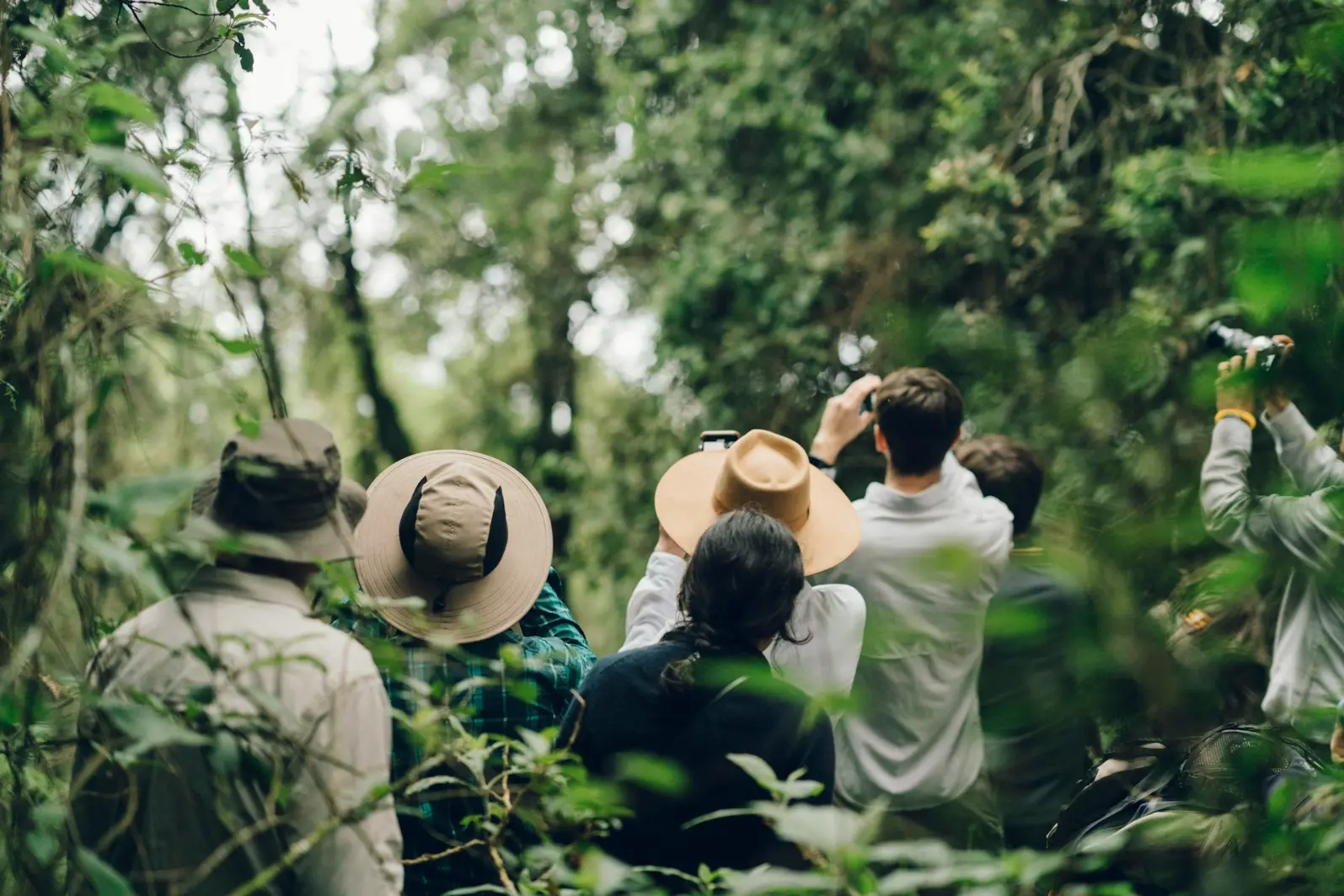 What to pack for gorilla safari in Uganda people talking pictures of trees during daytime
