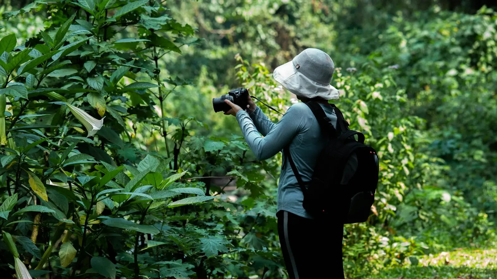 Photography safari in Bwindi a woman in a hat is taking a picture in the woods