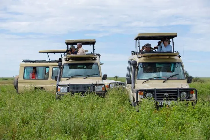 Wildlife safari with Nile Abenteuer Safaris A safari game drive at Queen Elizabeth National Park