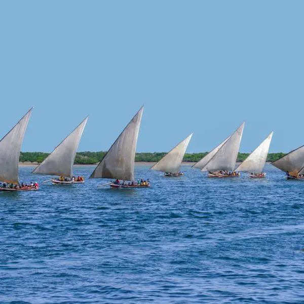 Things to do in Lamu Islands - Nile Abenteuer Safaris Dhows on Lamu Island