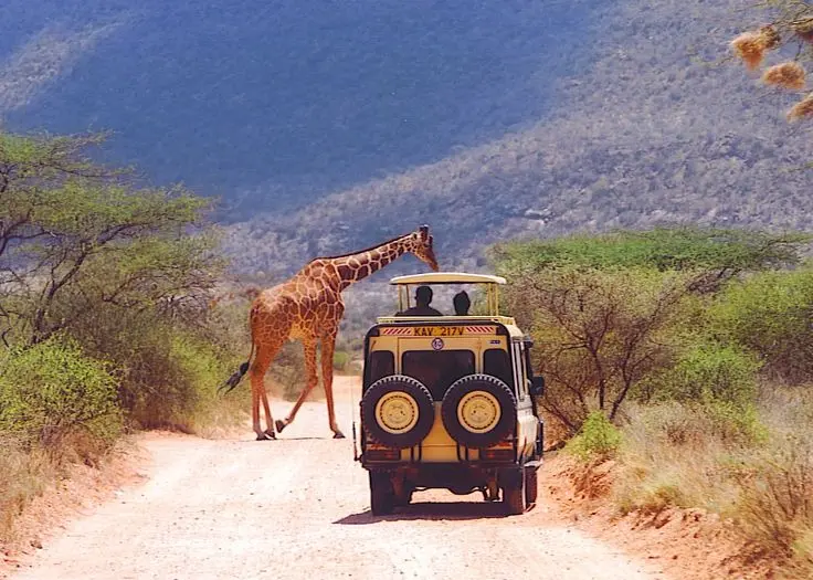 Things to do in Kenya - Nile Abenteuer Safaris Abenteuer Game drive in Samburu National Park