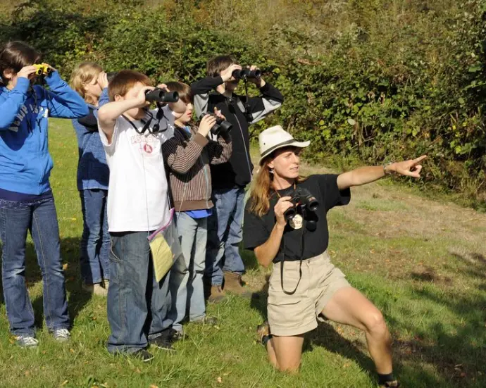 Things to do in Kenya 2025 - Birdwatching safaris Birdwatching safari in Kenya