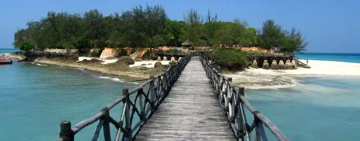 Things to do in Tanzania 2025 - Zanzibar Holiday Retreats and Beach Safaris Prison Island in Zanzibar