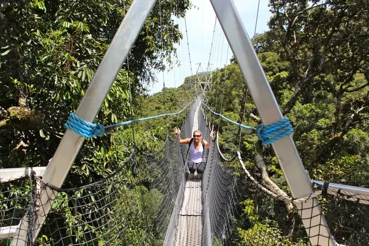Things to do in Rwanda 2025 - wildlife and eco Safaris Nyungwe forest canopy Walk