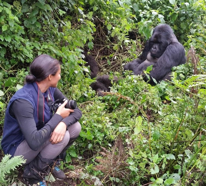 Close-up with mountain gorilla in Bwindi Mountain gorilla trekking