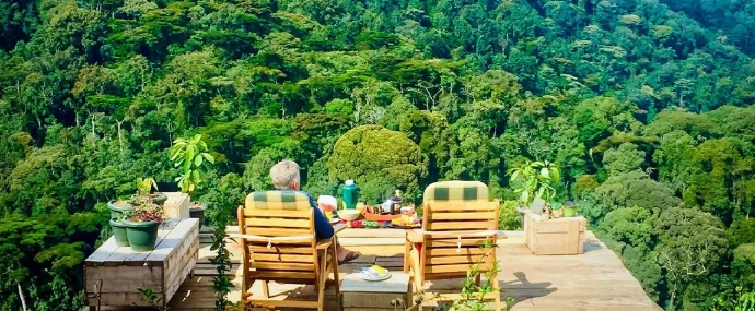 Luxury Uganda gorilla trekking Luxury Uganda gorilla trekking