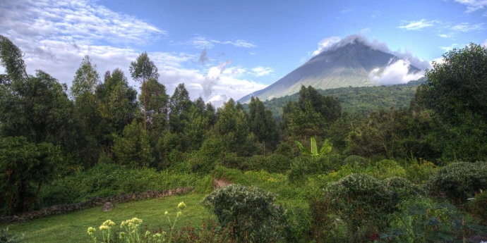 Mgahinga gorilla trekking Mgahinga gorilla trekking